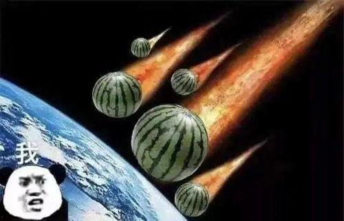 搞笑吃瓜段子文案,吃瓜群众必备的搞笑段子集锦