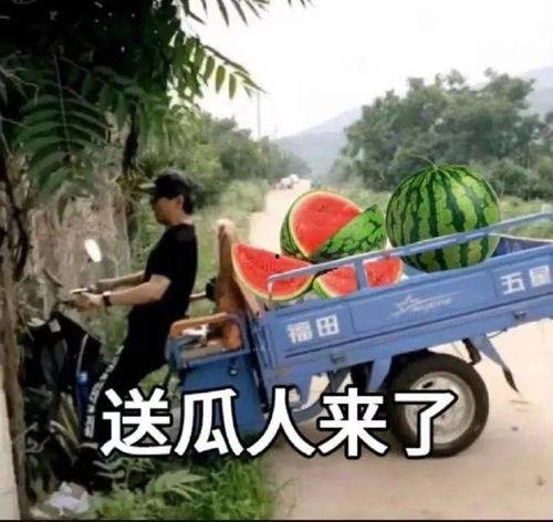 车祸吃瓜文案短句