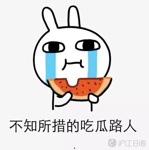 吃瓜一下,吃瓜群众眼中的明星生活