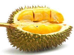 弟弟榴莲女孩吃瓜,揭秘甜蜜背后的故事