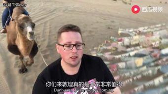 大叔吃瓜视频大全