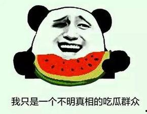 吃瓜大吗,一场关于网络热词的趣味探讨