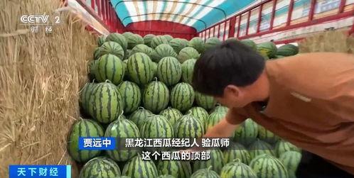 张晓峰吃瓜,揭秘娱乐圈背后的那些事儿