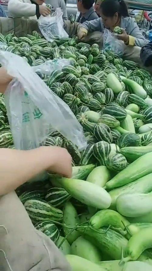 拉瓜呀怎么吃,解锁美味新体验