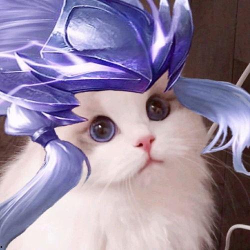 王者荣耀鲨鱼吃瓜头像,王者峡谷里的神秘美食传说