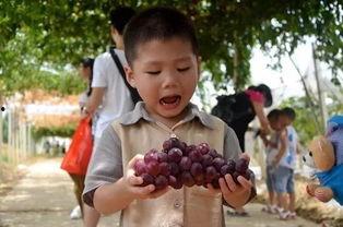 小麻瓜吃瓜群,揭秘娱乐圈幕后故事