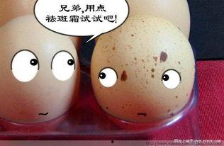 吃瓜鸡蛋幽默说说,笑谈人间百态