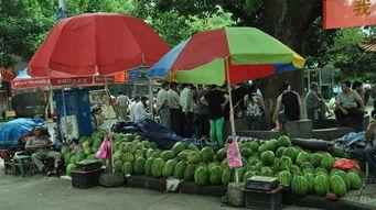 大城吃瓜卖衣服的,吃瓜卖衣，揭秘都市生活百态