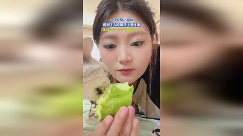 姐妹过来拿瓜吃,共享瓜果乐时光