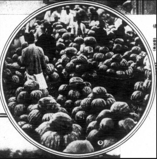 上海热门吃瓜事件