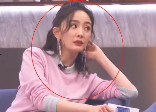 你吃郑爽的瓜没,揭秘娱乐圈的甜蜜与苦涩