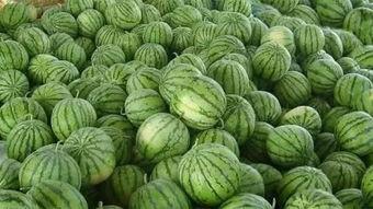 在外面吃瓜了,揭秘娱乐圈幕后故事