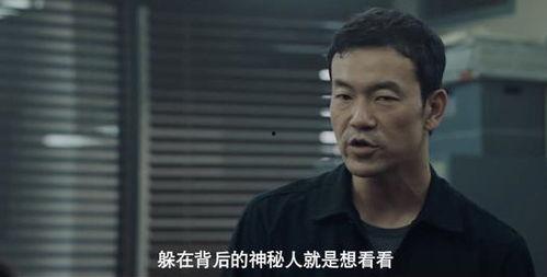 吃瓜成破案专家,揭秘网络侦探的神秘世界