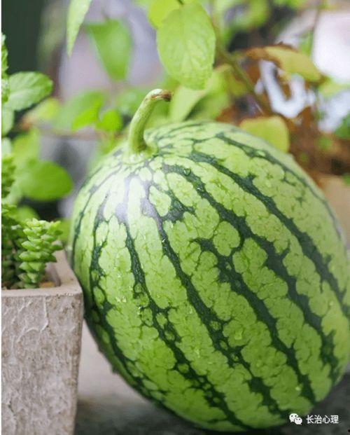 男子吃瓜心理分析