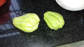 蓝瓜根茎可以吃吗怎么吃,食用方法与营养价值揭秘