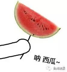 魔法猪吃瓜,魔法猪的奇幻瓜果之旅