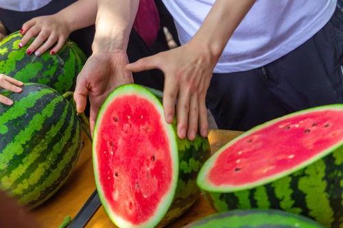 大学吃瓜后续,揭秘校园风云再起