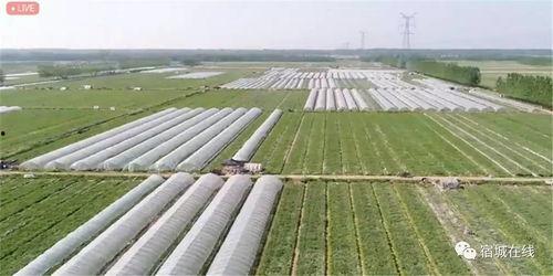 北外国语吃瓜,吃瓜群众揭秘校园奇闻轶事