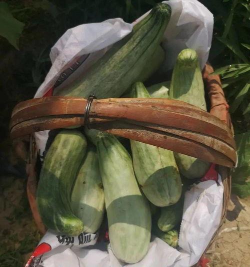 吃瓜带货搞笑,搞笑副标题大集合！