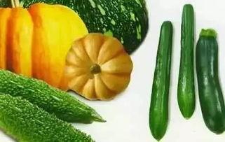 春吃菠萝夏吃瓜