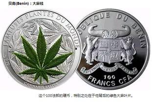 带你吃瓜奇葩硬币,带你探索“带你吃瓜”奇葩硬币的奥秘