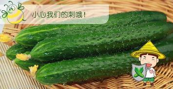 吃娱配瓜,揭秘娱乐圈背后的甜蜜与苦涩