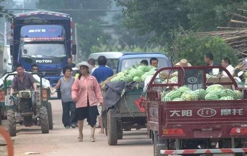 吃瓜群众六安,吃瓜群众眼中的民生百态