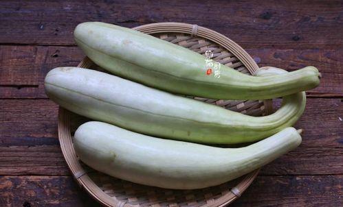 不老瓜怎么吃最好吃,解锁最佳美味体验