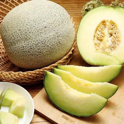 网纹蜜瓜怎么吃,解锁夏日清新口感