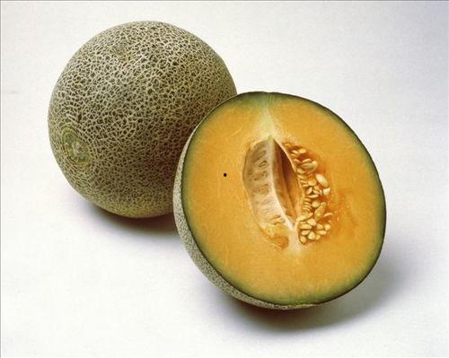 上海另类吃瓜指南,揭秘这座城市的独特“吃瓜”文化