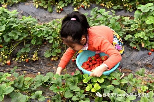 江阳城建吃瓜,吃瓜群众揭秘城市建设背后的故事