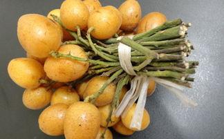 月经可以吃黄皮瓜,黄皮瓜助你健康养生