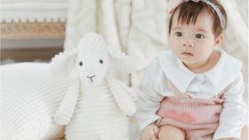 小西瓜吃瓜日常