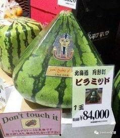 中国吃瓜群众文案,一场全民参与的文案盛宴